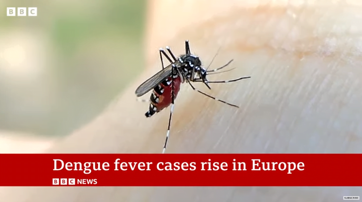 Almannat BBC Dengue Fever