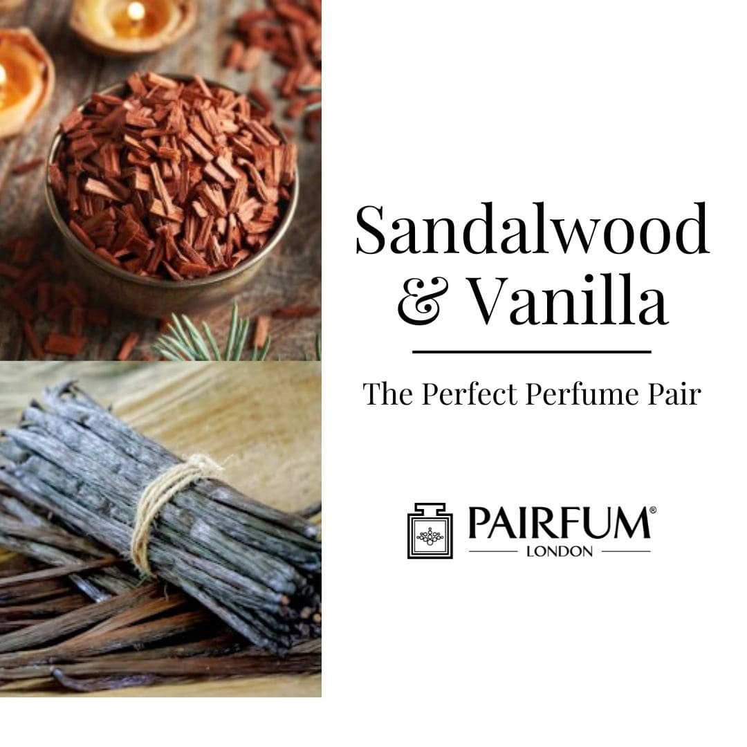 The Perfect Pair: Sandalwood and Vanilla The Perfect Pair: Sandalwood and Vanilla