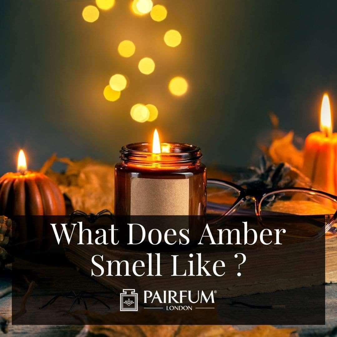Discover the Unique Aroma of Amber in Perfumery Discover the Unique Aroma of Amber in Perfumery