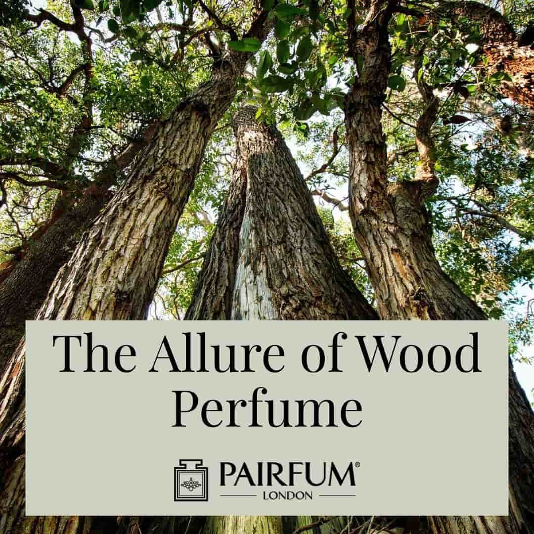Experience the Rich World of Wood Perfume Experience the Rich World of Wood Perfume