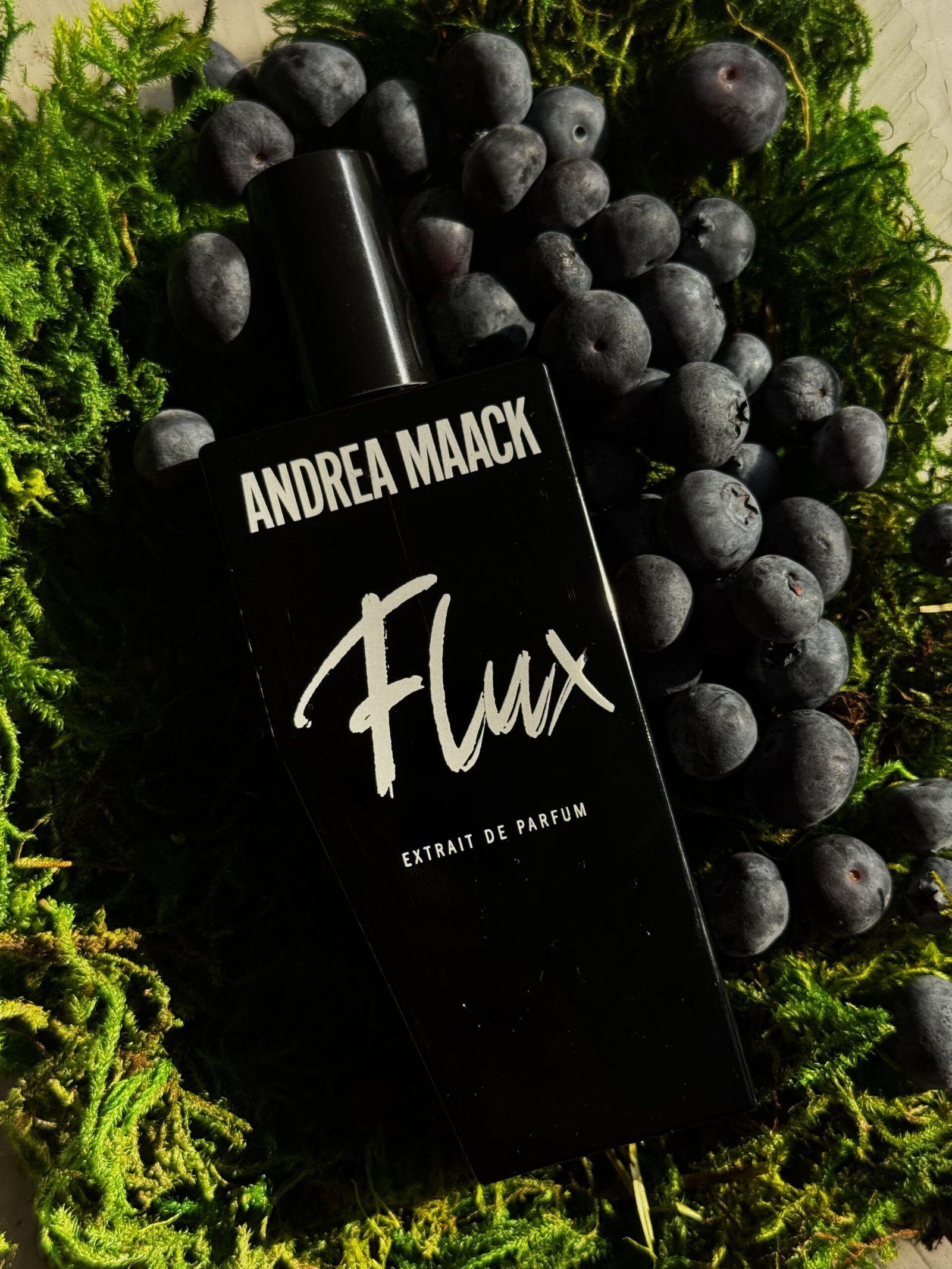 Flux by Andrea Maack