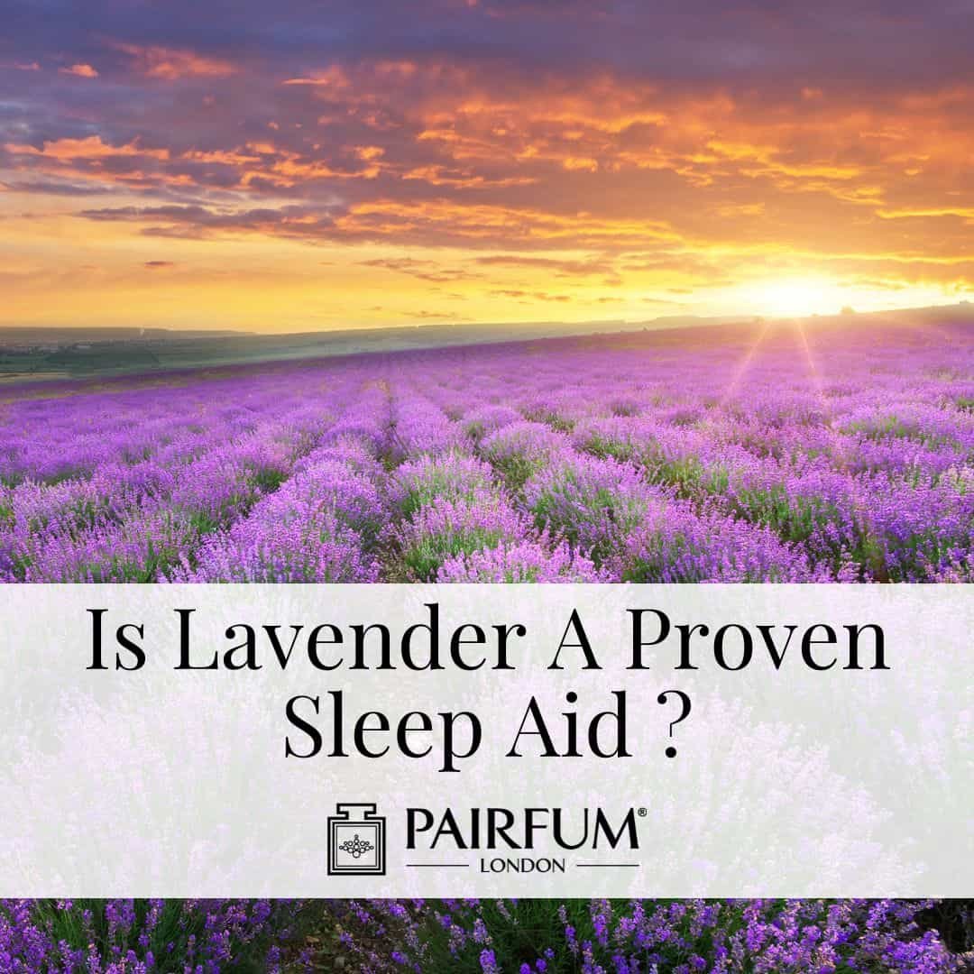 Is Lavender a Proven Sleep Aid? Is Lavender a Proven Sleep Aid?