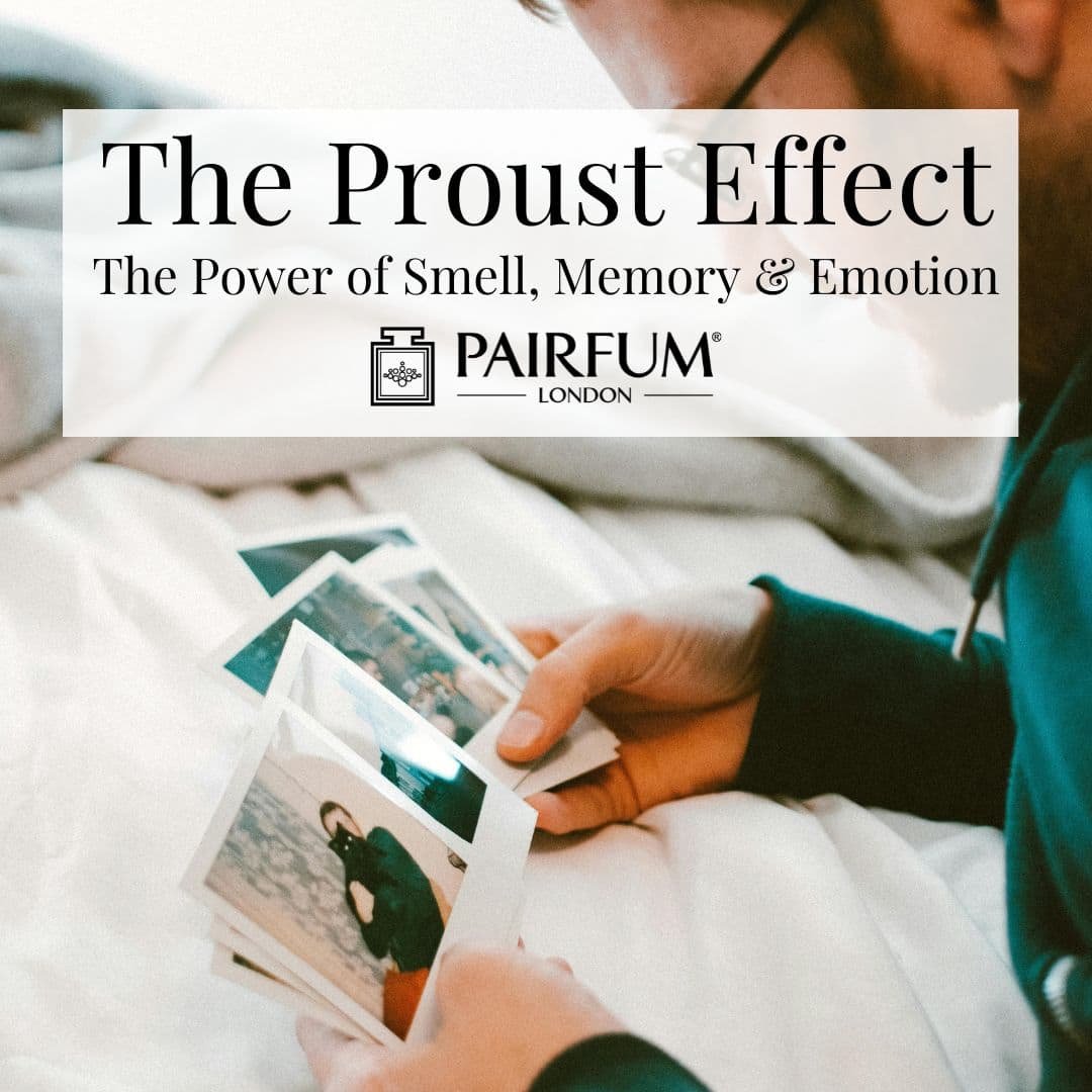 What Is The Proust Effect In Perfumery?