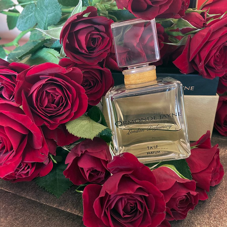 Which Are Your Top 5 Favorite Brands? – Undina’s Looking Glass Which Are Your Top 5 Favorite Brands? – Undina’s Looking Glass