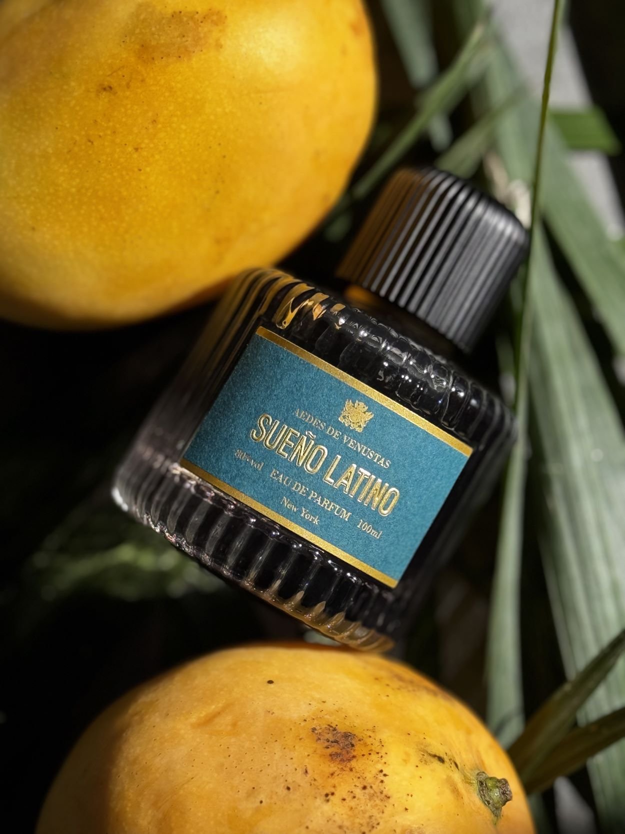 Aedes de Venustas Sueño Latino Review
