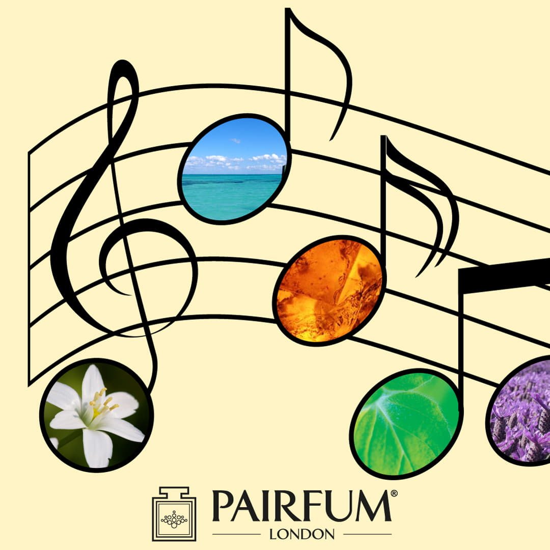 Understanding the Notes and Accords of Niche Understanding the Notes and Accords of Niche