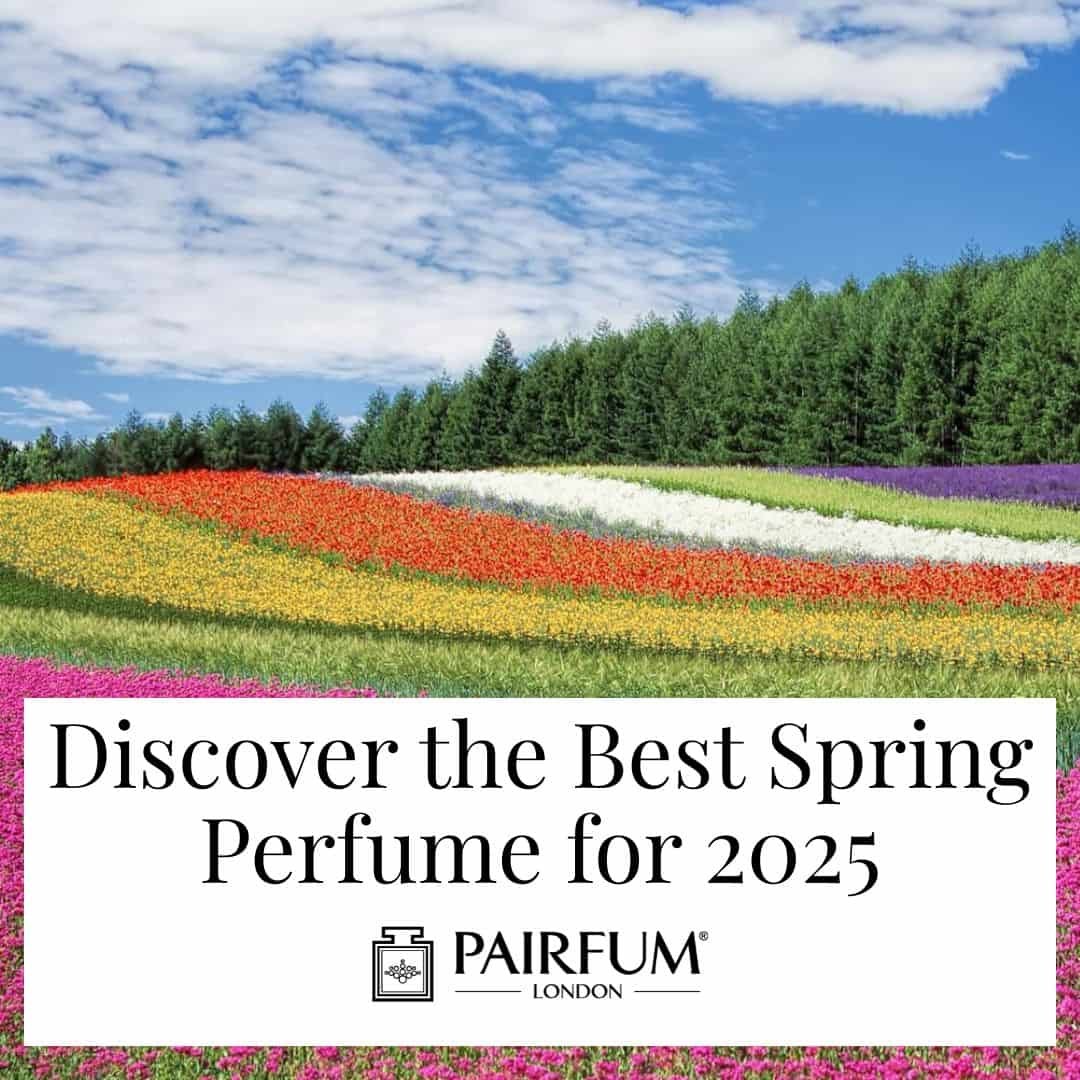 Discover the Best Spring Perfumes for 2025: Our Top Picks