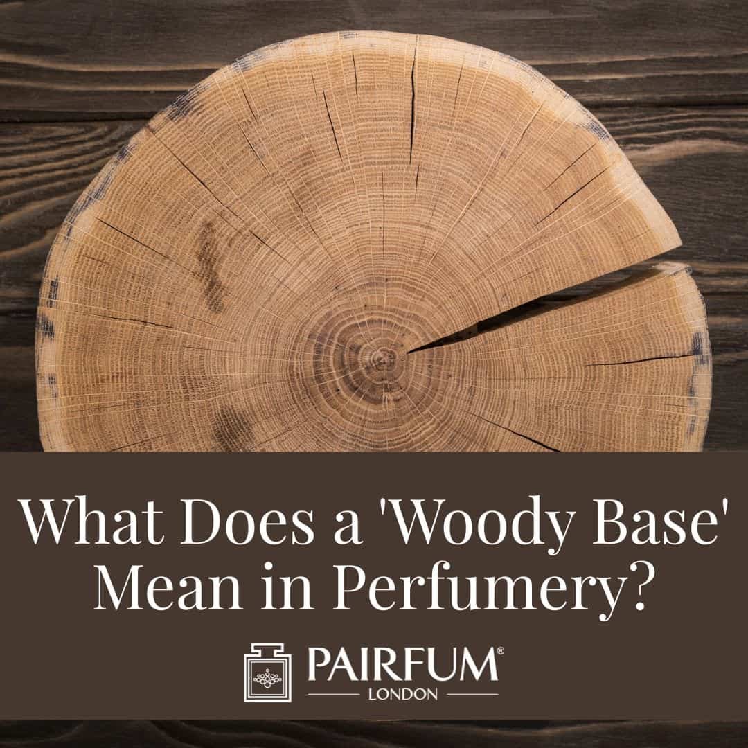 What Does a Woody Base Mean in Perfumery?