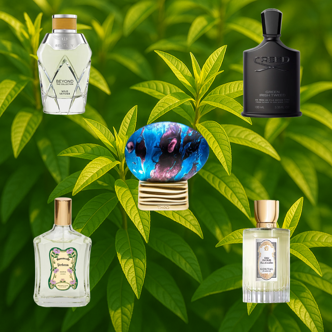 The Zesty Charm of Verbena in Perfumery