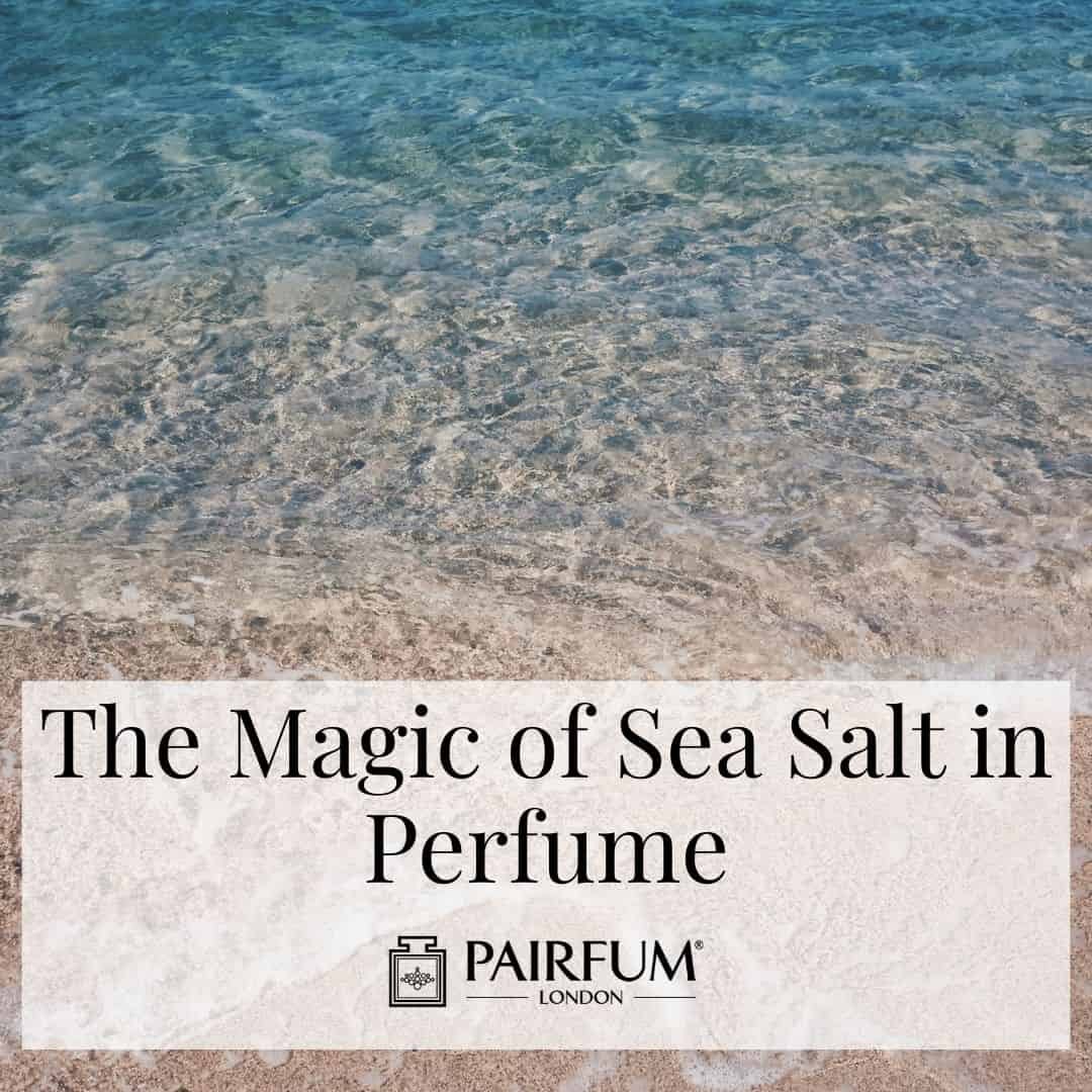 Sea Salt and Perfume: A Journey of Freshness