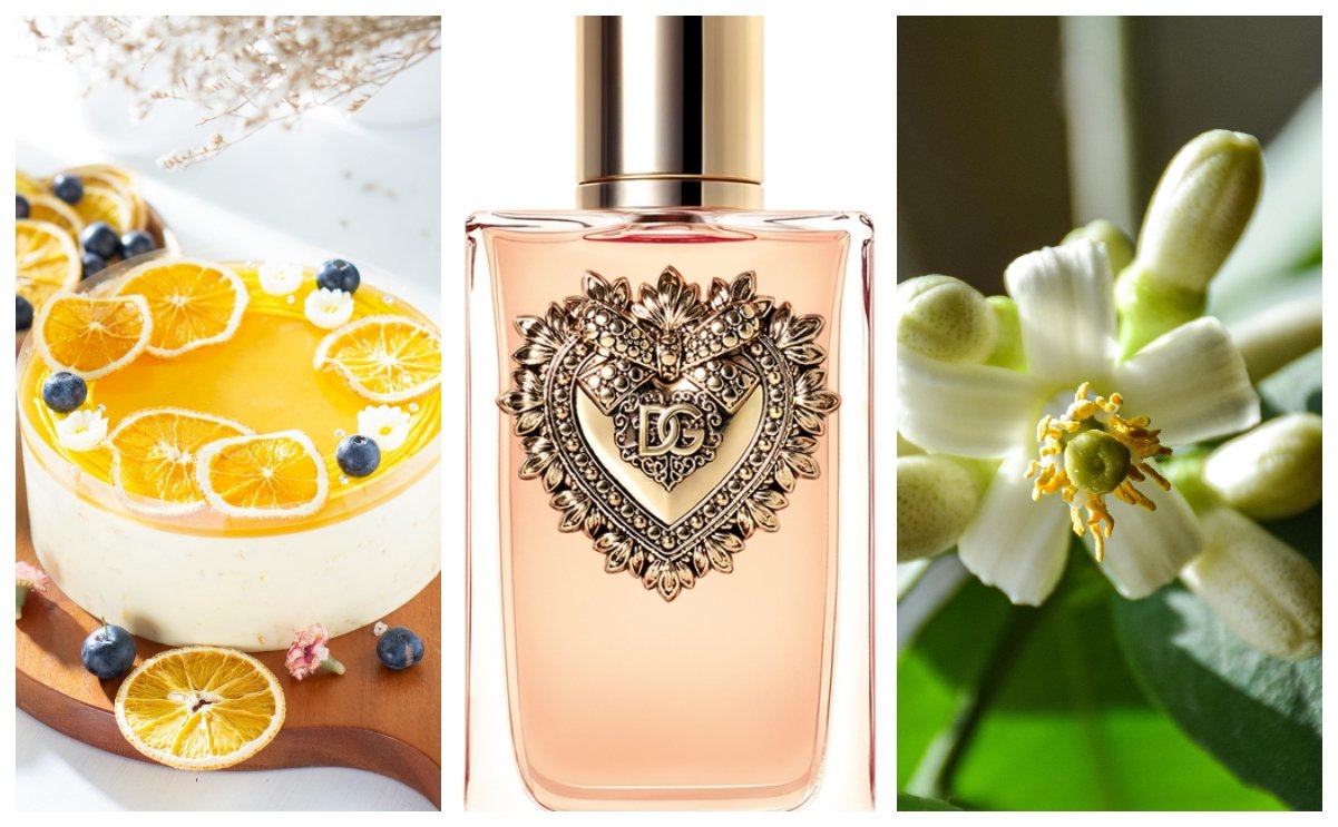 Dolce&Gabbana Devotion For Her by Olivier Cresp