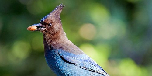 Friday scent of the day 9/26 :: Now Smell This