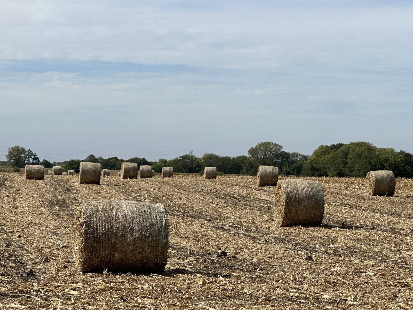 Fall. In Love | Perfume Posse
