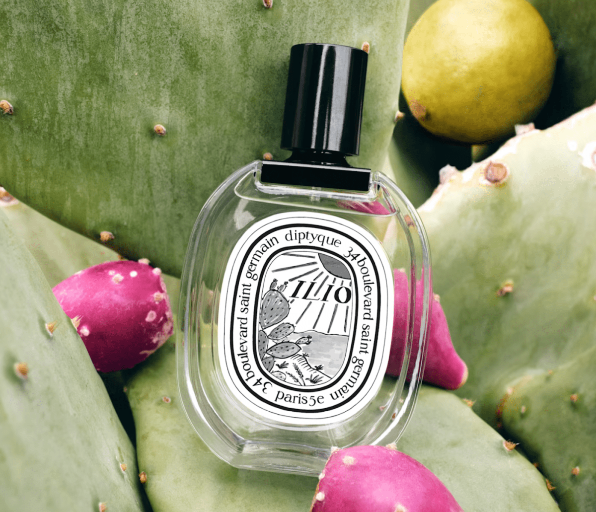Ilio by Diptyque – Undina’s Looking Glass