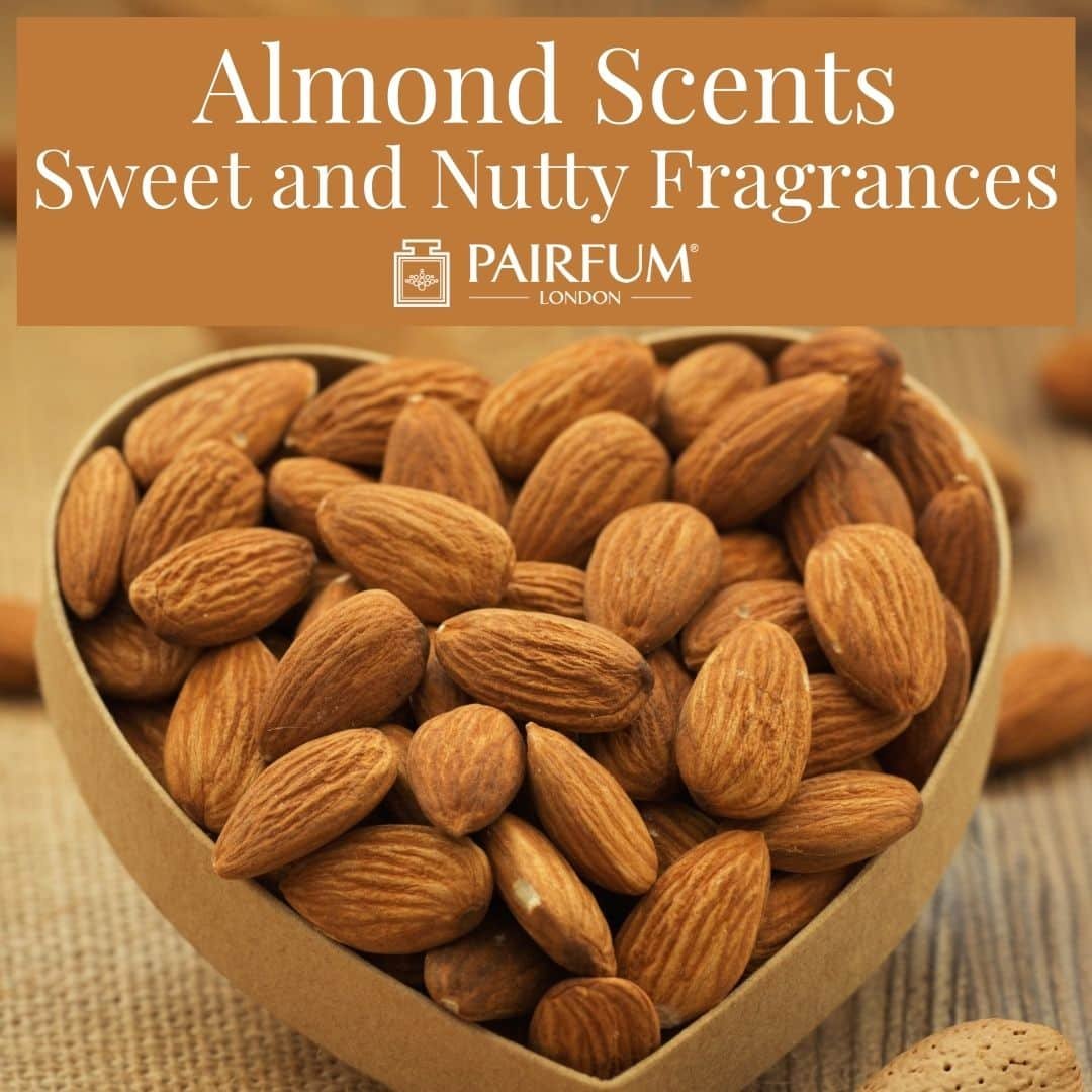 Almond Scents: Sweet and Nutty Fragrances