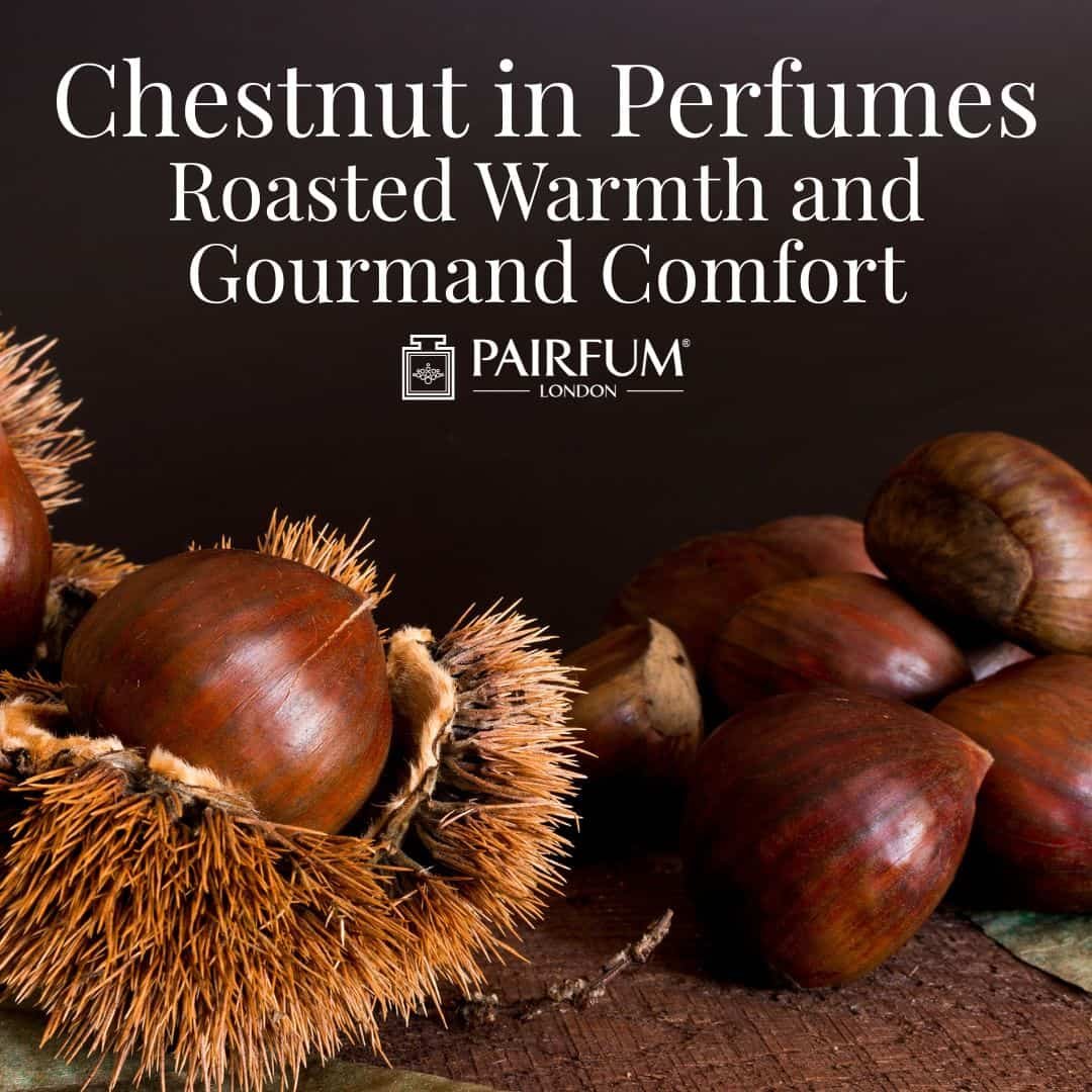 Roasted Warmth and Gourmand Comfort