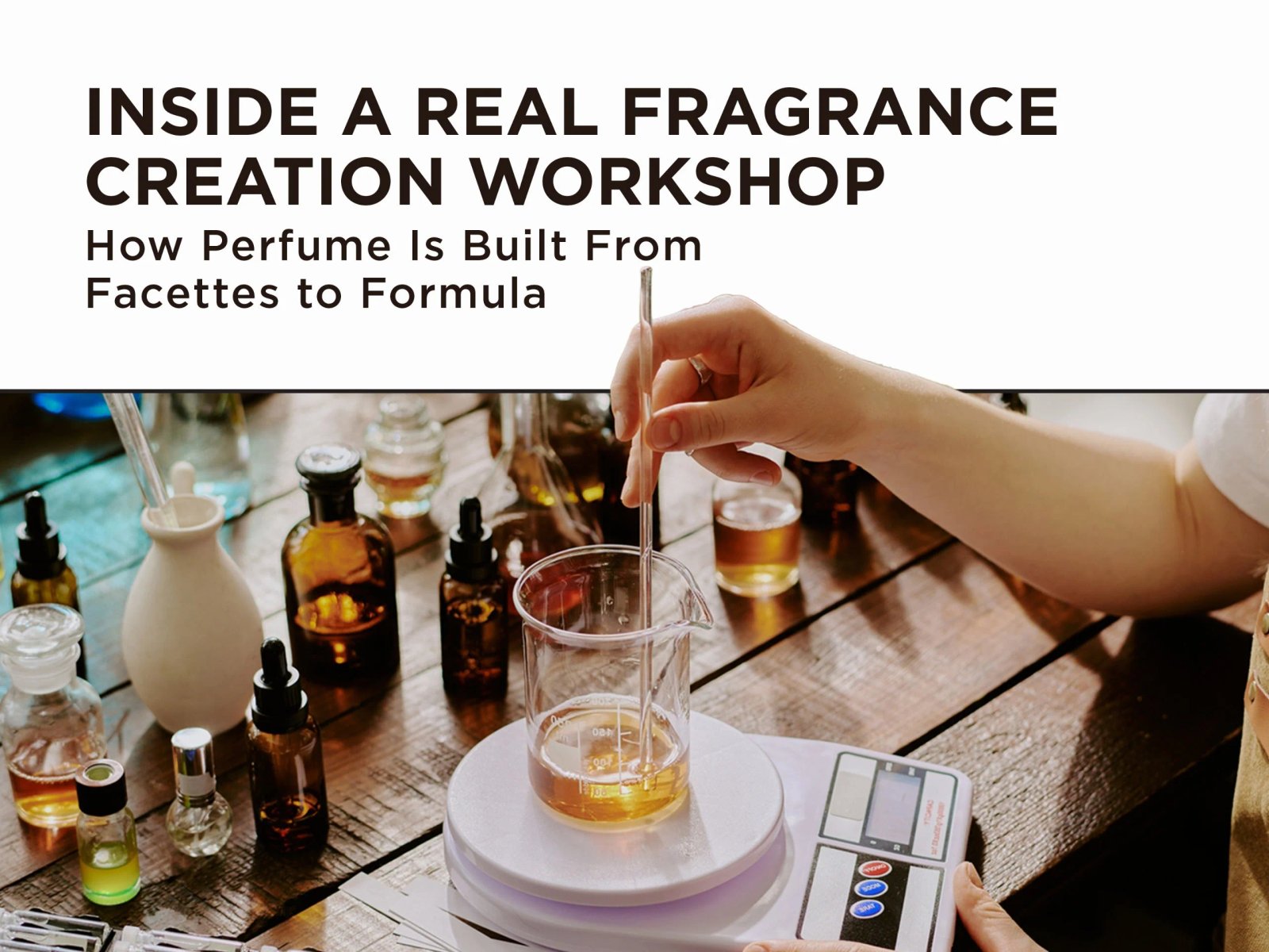How Perfume Is Built fro
– All Good Scents