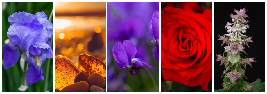 How to wear Violet Riot by The Lab Co: Flowers, spice and all things nice
