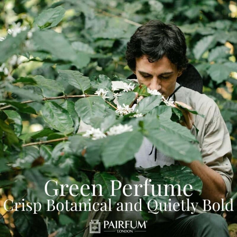 Crisp Botanical and Quietly Bold