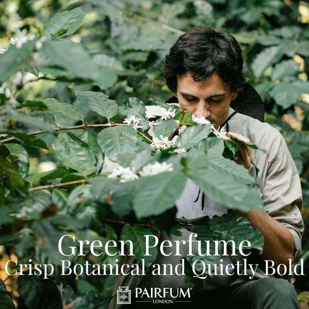 Crisp Botanical and Quietly Bold