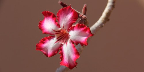 Friday scent of the day 9/4 :: Now Smell This