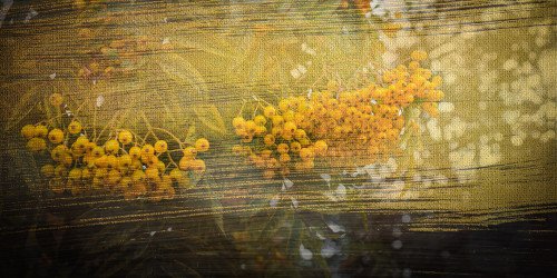 Lazy (2 or) 3-day weekend poll ~ transitional fragrances, fall 2026 :: Now Smell This