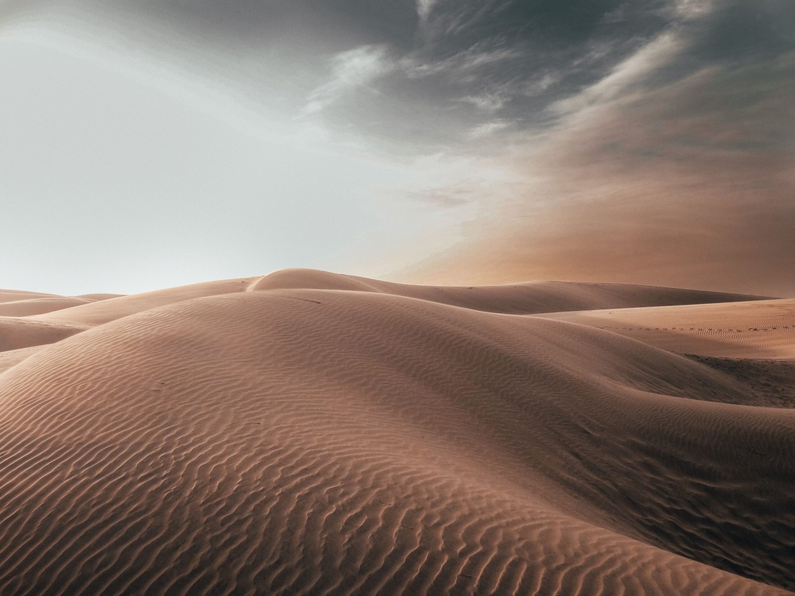 Tauer Perfumes Au Coeur du Desert