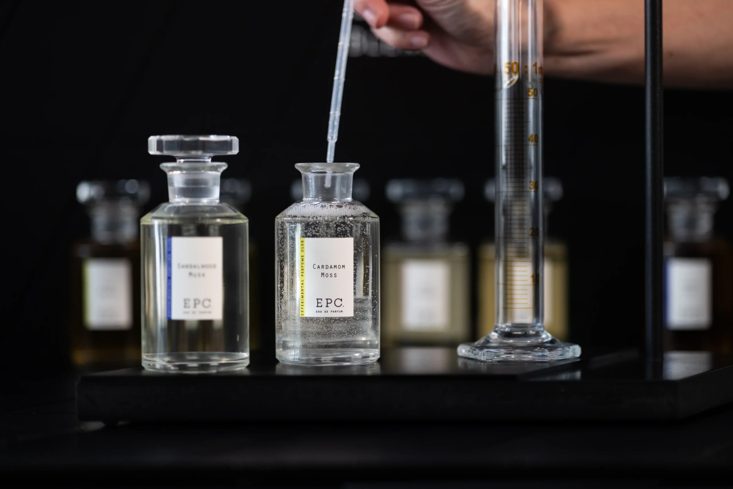 A Beginner’s Guide – Experimental Perfume Club