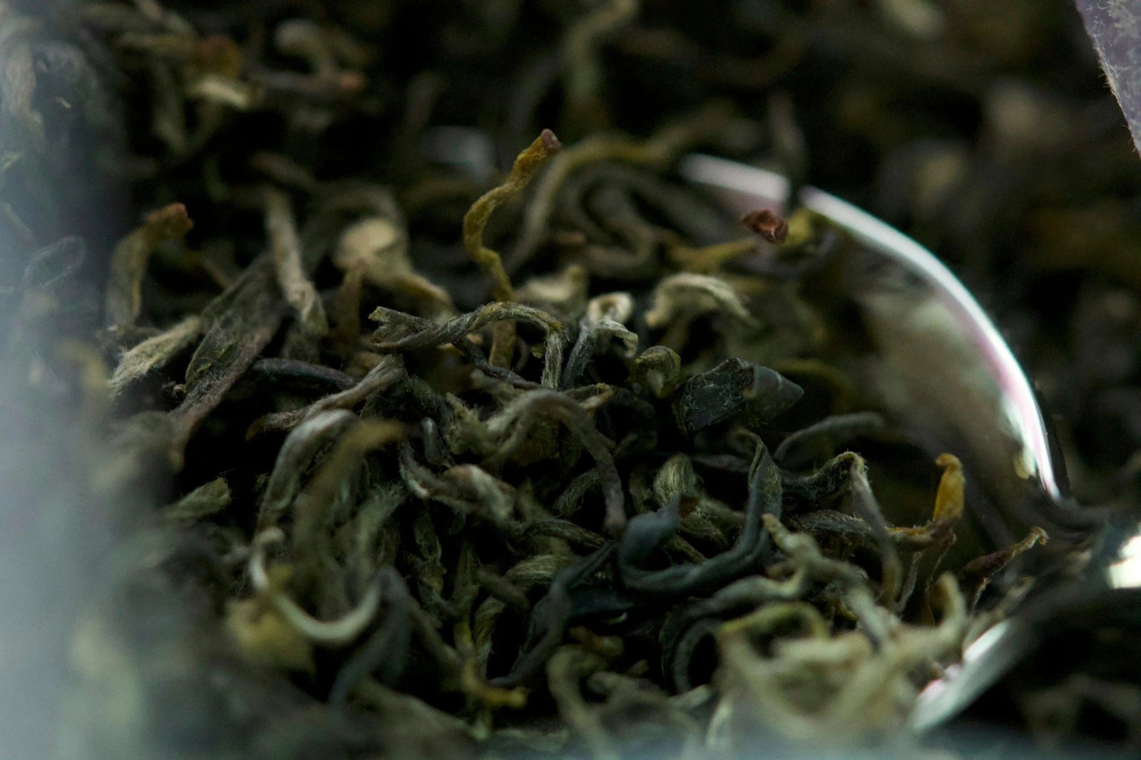 From Earl Grey to Matcha – Experimental Perfume Club
